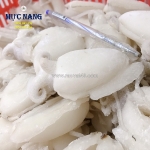 Giá mực nang