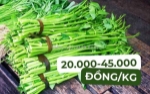 Giá rau muống hôm nay bao nhiêu? cập nhật mới nhất