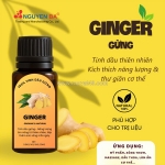 Ginger essential oil (tinh dầu gừng)