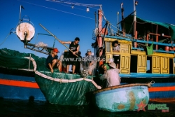 Mắm cá miền tây – nguồn cảm hứng trong thơ ca và hội họa dân gian