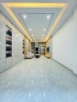 Mặt ngõ phố lâm ha - hàng xóm trí thức - 8 tầng thang máy - gara 2 ô tô - ngõ