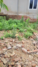 Ô tô vào đất ngay sát chợ 42m chỉ 3 tỷ thôn 3 vạn phúc thanh trì