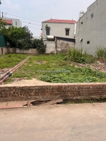 Siêu phẩm trục chính lương quy- xuân nộn- đông anh