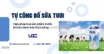 Tự công bố sữa tươi nội địa và sữa tươi nhập khẩu đúng quy trình