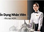 Tuyển dụng nhân viên phục vụ nhà hàng tại bình thạnh