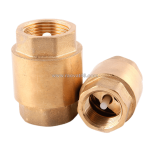 Van 1 chiều lò xo