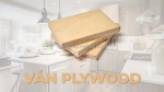Ván plywood: ưu, nhược điểm và ứng dụng trong nội thất