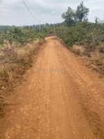 Víp hơn 5 sào đất tại ea sin-krong busk- đắk lắk đất đỏ bazan mà giá chỉ 599tr