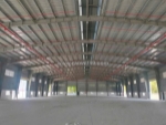 Xưởng bàu bàng cho thuê – 2.5 usd/m² – pccc tự động – hợp đồng dài hạn
