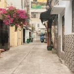 🏡 bán nhà hxh 6m q.10, khu phân lô, sổ đẹp, 9.x tỷ!