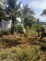 🏡 cần bán lô đất biệt thự 420m² tại xã tam an – long đất – bà rịa vũng tàu giá