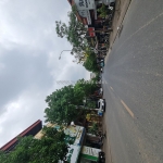 🏡 cơ hội đầu tư vàng - đất góc siêu hiếm trâu quỳ, gia lâm, hà nội. lh