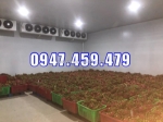 0947 459 479 thiết kế kho lạnh trữ thanh long, làm kho lạnh trữ nông sản