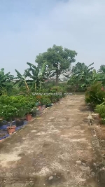 Bán đất 50m² khu tân hưng hải dương, ô tô vào tận nơi – giá chỉ 6xx triệu