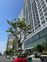 Bán nhà 5 tầng, mặt tiền lê thước, sát hồ nghinh. lh 005233234