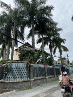 Biệt thự sân vườn – nội thất gỗ cao cấp – đường m – 23 tỷ