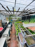 Cần tiền bán gấp! nhà khương đình - thanh xuân, dt35m2, 6tầng, nhà đẹp, giá