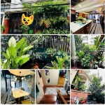 Chỉ 21.5 tỷ giảm sâu còn 19.5 tỷ - bán gấp định cư - hẻm hơn 8m đường bùi đình