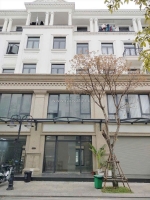 Cho thuê căn thương mại dịch vụ vinhomes ocean park 1 - gia lâm - 60m/sàn - 5