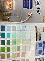 Chọn màu sơn cho ngôi nhà của bạn cùng ong thợ