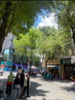 Có 102 nhà mặt tiền - sẵn dòng tiền ngay phố đi bộ nguyễn huệ quận 1 ,