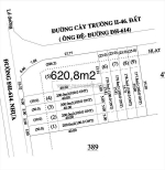 Cơ hội vàng: sở hữu đất nền liền kề kcn bàu bàng mở rộng - giá chỉ từ 6xx triệu!