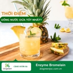 Cung cấp enzyme bromelain hàng chất lượng giá cạnh tranh