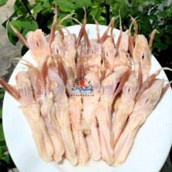 Lưỡi vịt