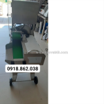 Máy thái lát, thái khúc rau củ tự động sh125