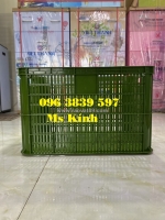 Sóng hở 3t9, sóng nhựa đựng xoài, nông sản, hàng rau củ ...