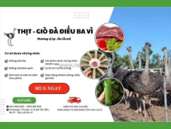 Thịt đà điểu giá bao nhiêu 1 kg hiện nay | bán buôn bán lẻ