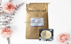 Yeast cell wall - betaglucan và mos tăng cường miễn dịch tôm cá