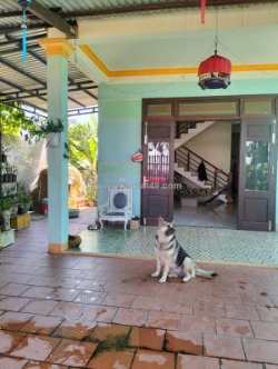 ♪ nhà sân vườn, đường ô tô có lề, tx điện bàn, 200m2, cách biển 4 phút, nhỉnh 2