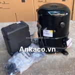 0911.219.479, cung cấp (block) máy nén lạnh tecumseh 2.6hp r404 fh4531z