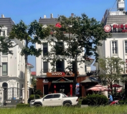 Bán bt đơn lập embassy garden - cho thuê dòng tiền 2tỷ/năm - giá  tỷ.