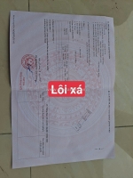 Bán đất giãn dân lôi xá đức chính siêu đẹp giá đầu tư