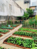 Bán đất tặng vườn rau sạch ngay vành đai 2 - linh đông - thành phố thủ đức