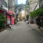 Bán gấp nhà cầu giấy, phân lô, ôtô vào nhà, vỉa hè kinh doanh, 55m2 giá 15 tỷ
