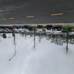 Bán lô đất cuối cùng tại trâu quỳ, gia lâm, hà nội. lô góc 61m2, đường 8m, 6 tỷ