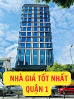 Bán nhà mặt tiền trần hưng đạo q1 - dt 12x40(480m2) - vị trí thương hiệu đỉnh