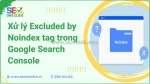 Cách xử lý excluded by noindex tag trong google search console