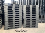 Cần mua pallet nhựa cũ tại kiên giang với giá rẻ