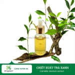 Chiết xuất trà xanh nguyên liệu mỹ phẩm trị mụn, dưỡng da