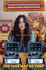 Cho thuê máy dò vàng 3d chính hãng