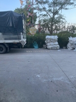 Chốt ngay lô đất đẹp khánh hà-thường tín-dt:300m2- giá chỉ 38tr/m² - sổ đỏ cầm