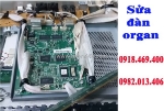 Chuyên sửa đàn organ yamaha, casio các loại tại gò vấp, zalo : 09.469.400