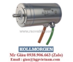 Đại lý servo kollmorgen việt nam