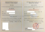 Đăng ký học chứng chỉ bảo mẫu - lựa chọn thông minh cho tương lai