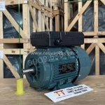 Động cơ điện 1 pha