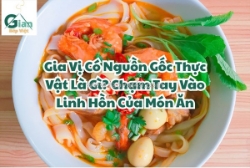 Gia vị thực vật – chạm đến hương vị tự nhiên trong từng món ăn